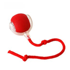Interactive Cat Toys for Indoor Cats, Pet Interactive Dog Ball, Pet Smart Chase Ball, Moving Cat Toys