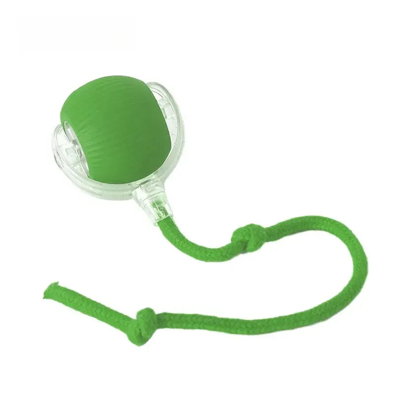 Interactive Cat Toys for Indoor Cats, Pet Interactive Dog Ball, Pet Smart Chase Ball, Moving Cat Toys