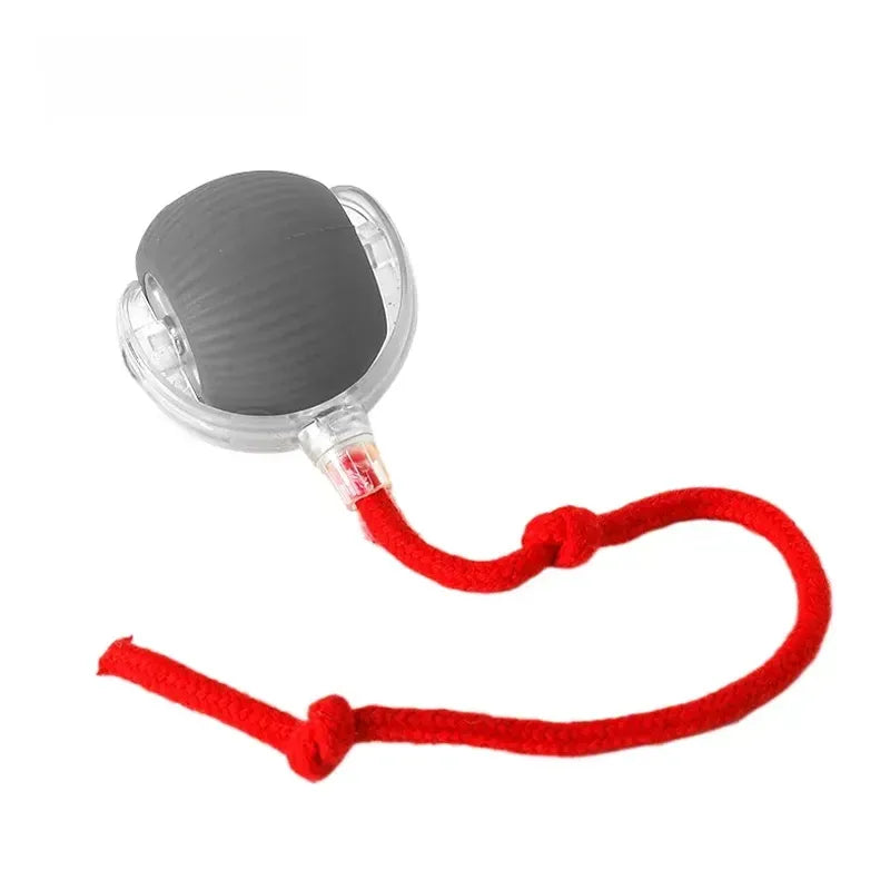 Interactive Cat Toys for Indoor Cats, Pet Interactive Dog Ball, Pet Smart Chase Ball, Moving Cat Toys