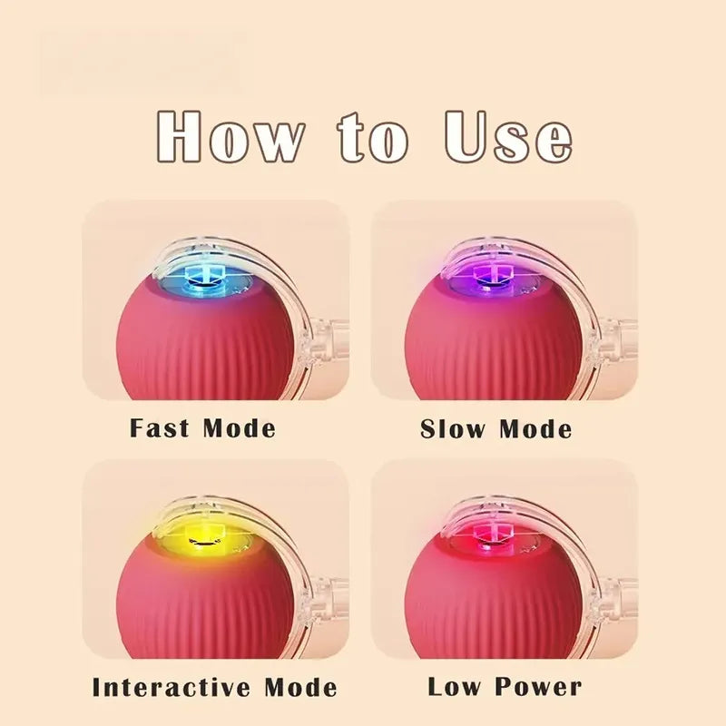 Interactive Cat Toys for Indoor Cats, Pet Interactive Dog Ball, Pet Smart Chase Ball, Moving Cat Toys