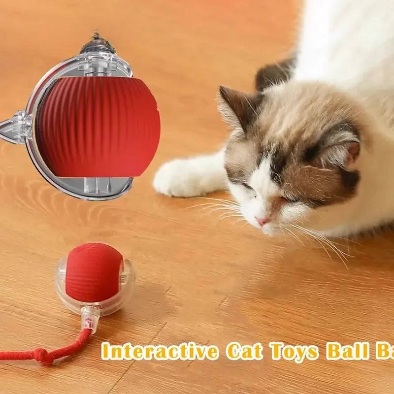 Interactive Cat Toys for Indoor Cats, Pet Interactive Dog Ball, Pet Smart Chase Ball, Moving Cat Toys