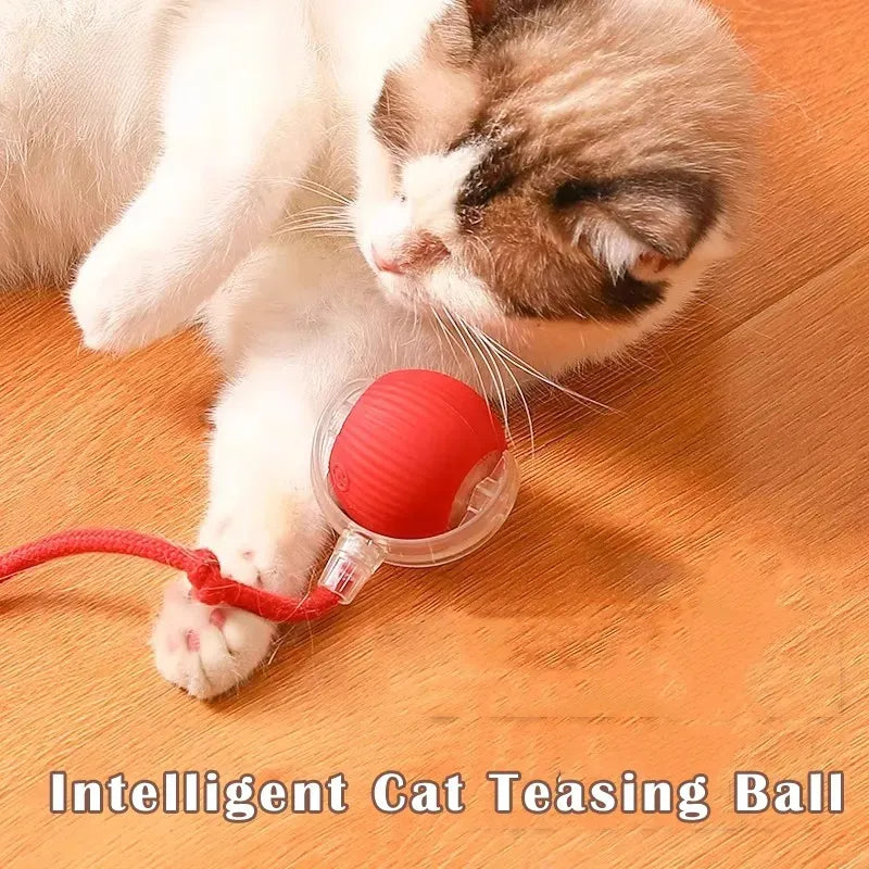 Interactive Cat Toys for Indoor Cats, Pet Interactive Dog Ball, Pet Smart Chase Ball, Moving Cat Toys